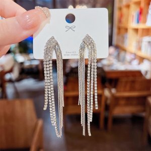 2025 The new goddess temperament, tassel atmosphere high -level sensory earrings 925 silver needle niche light luxury personality earrings