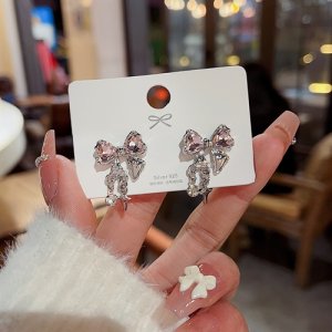 925 Silver Needle Bowlon Earrot Schiper Design Sensory Earrings Fashion Time Net Red Earrings