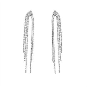 2025 The new goddess temperament, tassel atmosphere high -level sensory earrings 925 silver needle niche light luxury personality earrings