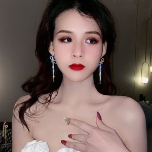 925 Silver Bows Flow Soviet earrings 2025 new tide high -level high -level sense niche full drill super immortal earrings female