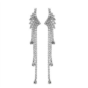 S925 Silver Needle Angel Wing Super Flash Su Earrings Korean Edition Ginseng Earrings Personal Ferry Earlier