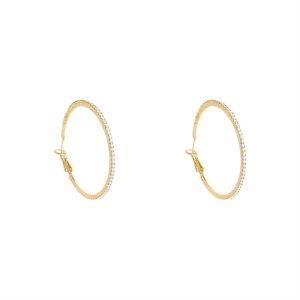 S925 Silver Needle Korean East Gate Circle Earrings High -level Smooth Earlobe Performing Energy Personality Simple earrings